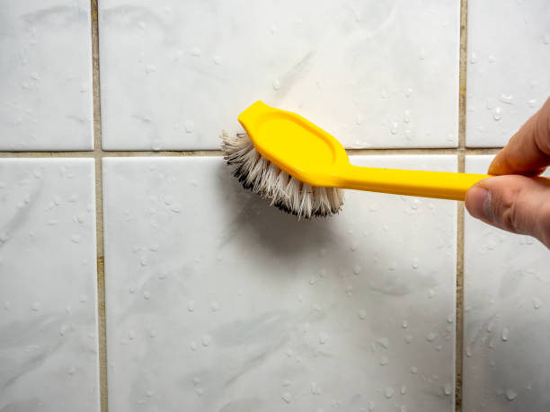 Best Professional Mold Removal  in Burns Harbor, IN