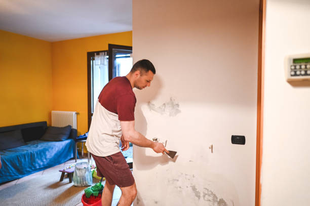 Best Mold Removal Near Me  in Burns Harbor, IN